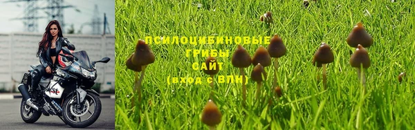 прущая мука Магадан