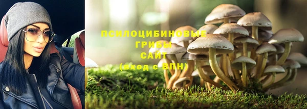 прущая мука Магадан