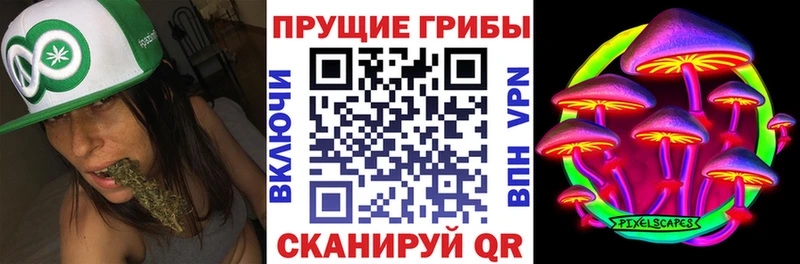 Галлюциногенные грибы мухоморы  KRAKEN онион  Щёлкино 
